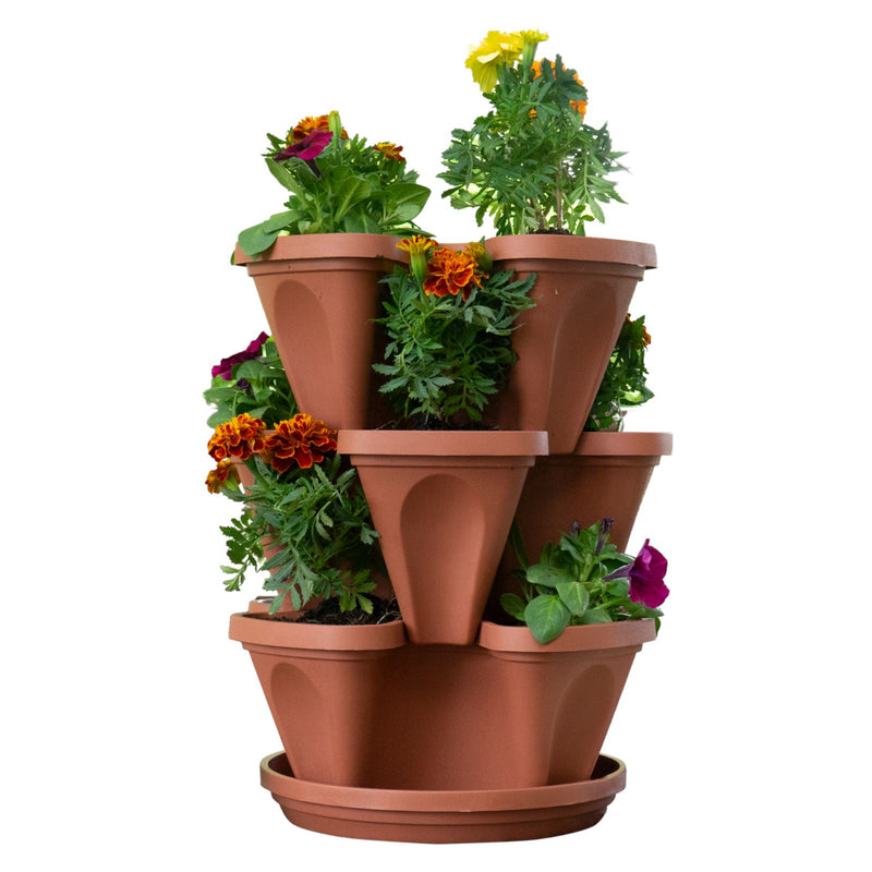 Horta Vertical BoxPlant Jardinagem - Horta Vertical BoxPlant kito magazine Marrom 3 unidades 